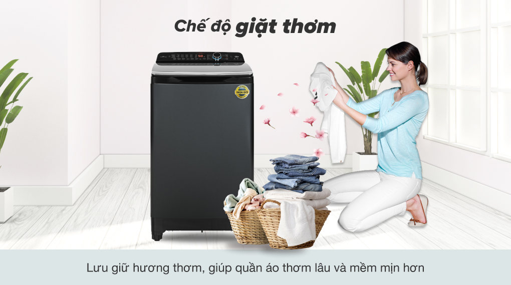 Máy giặt Aqua Inverter 12 kg AQW-DR120HT.BK