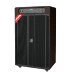 Loa kéo điện Dalton TS-21A2000, công suất 2000W