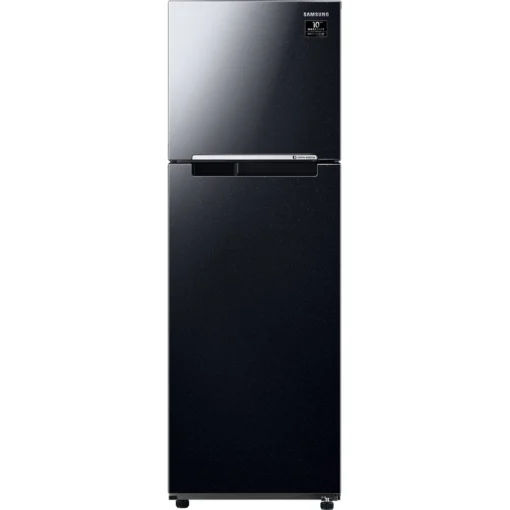 Tủ lạnh Samsung Inverter 256 lít RT25M4032BU/SV