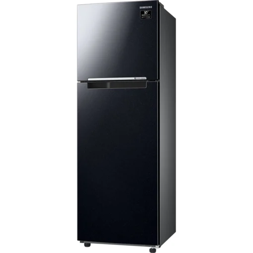 Tủ lạnh Samsung Inverter 256 lít RT25M4032BU/SV