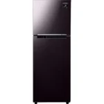 Tủ lạnh Samsung Inverter 236 lít RT22M4032BY/SV