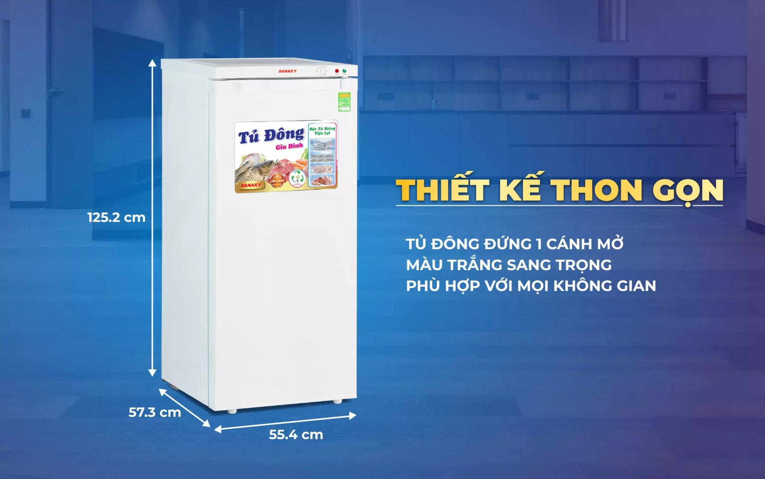 Tủ đông Sanaky 150 lít TD.VH180VD
