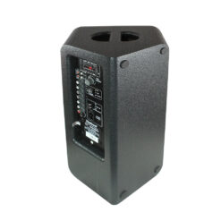 Loa kéo Dalton TS-10G300X (kèm 2 mic) 400W