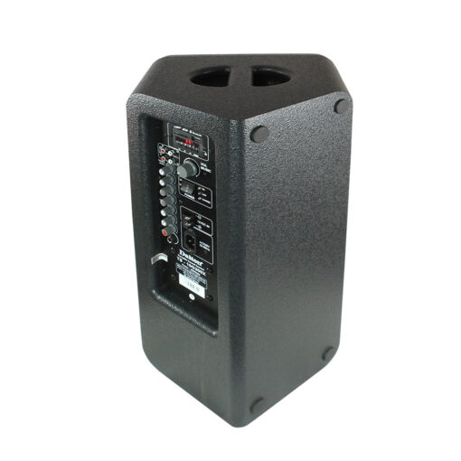 Loa kéo Dalton TS-10G300X (kèm 2 mic) 400W