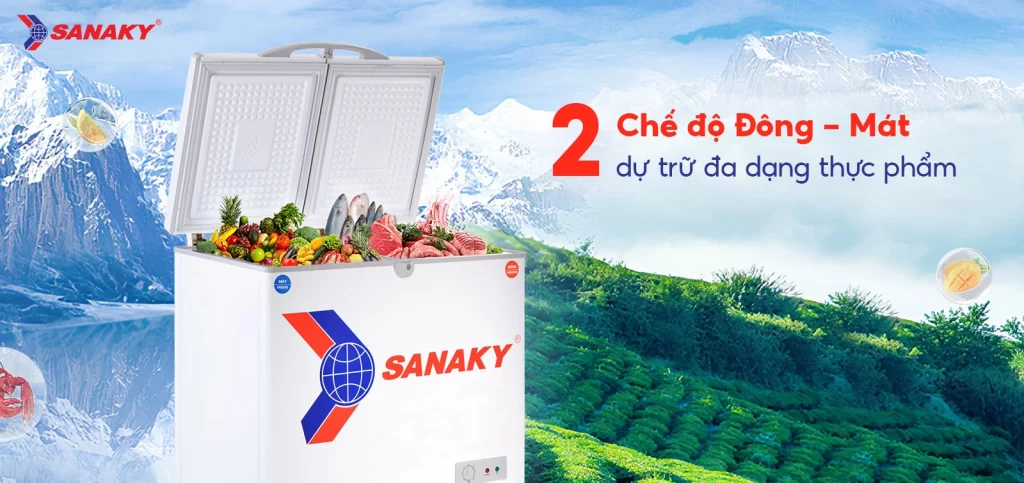 Tủ đông Sanaky 195 lít VH-255W2