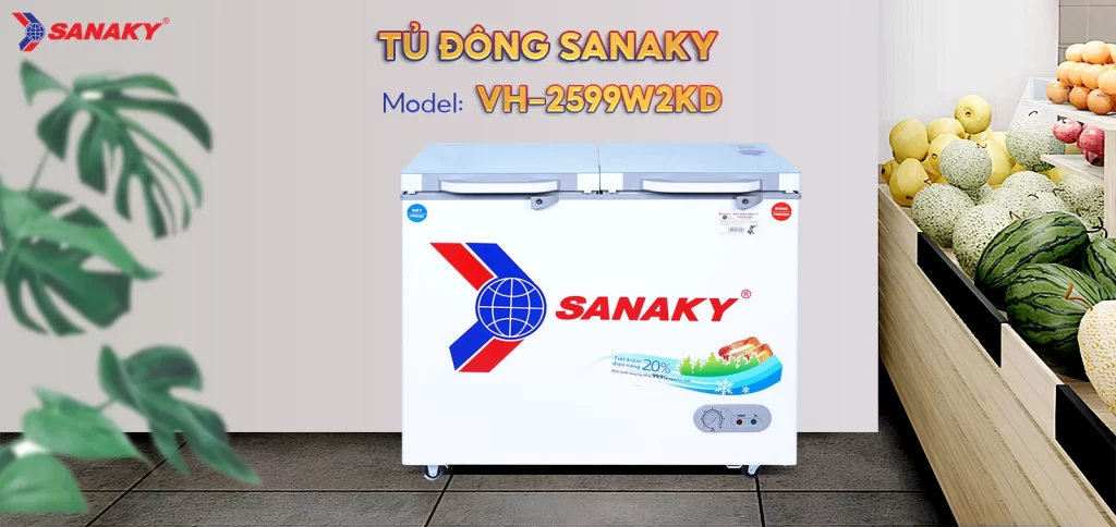 Tủ đông Sanaky 195 lít VH-2599W2KD 