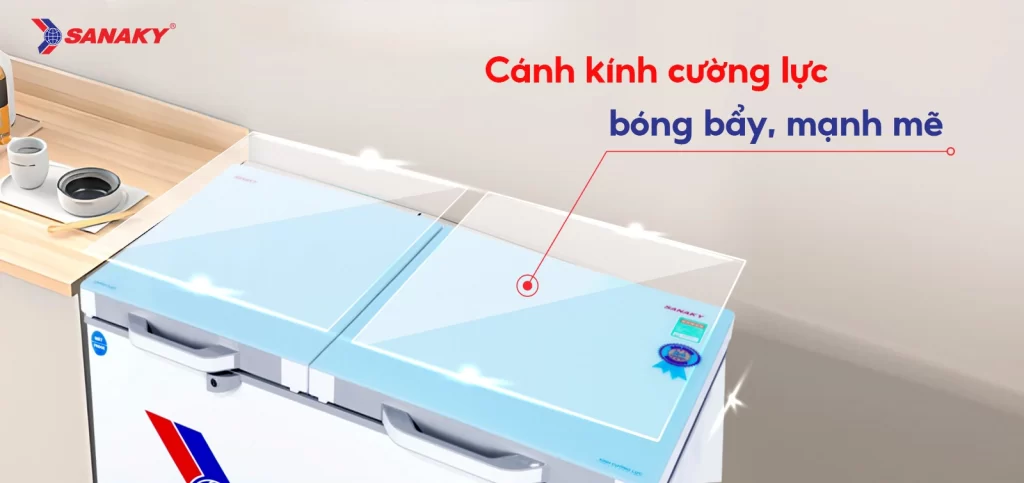 Tủ đông Sanaky 195 lít VH-2599W2KD 