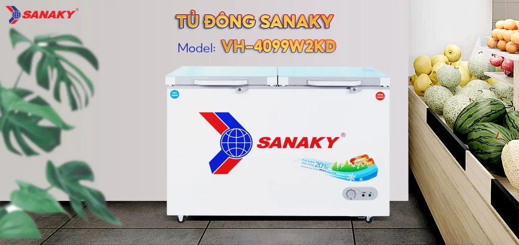 Tủ đông Sanaky 280 lít TD.VH4099W2KD