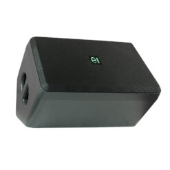 Loa kéo Dalton TS-10G300X (kèm 2 mic) 400W