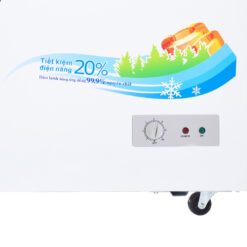 Tủ Đông Sanaky 250 lít VH-2599A1