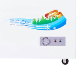 Tủ đông Sanaky 270L VH-3699A1