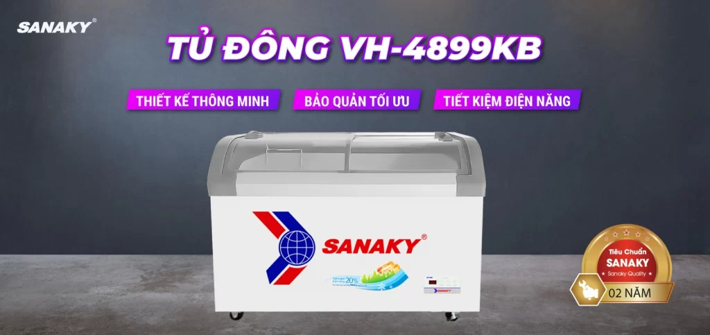Tủ đông Sanaky 350 lít VH-4899KB