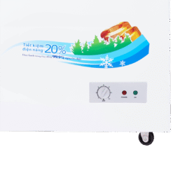 Tủ đông Sanaky 195 Lít TD.VH2599W1