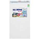 Tủ đông Sanaky 118 lít TD.VH160VD