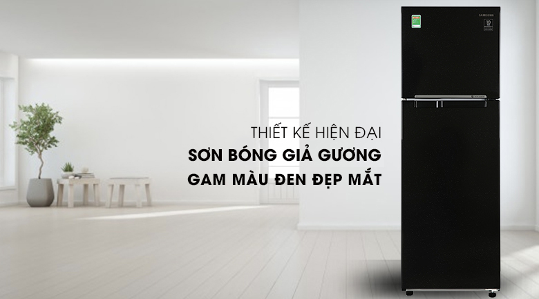 Tủ lạnh Samsung Inverter 256 lít RT25M4032BU/SV