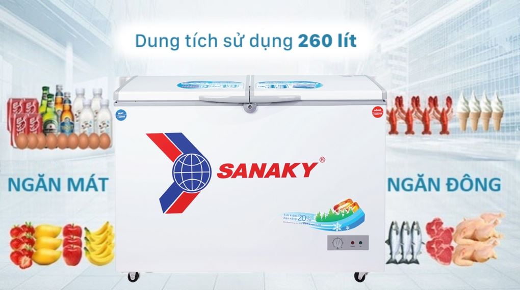 Tủ đông Sanaky 260 lít VH-3699W1