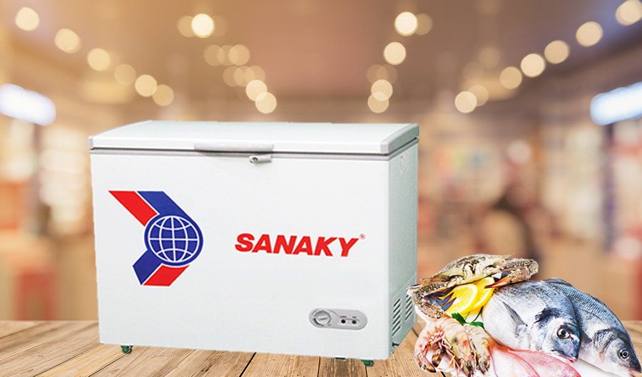 Tủ Đông Sanaky 180 Lít VH-2299HY2