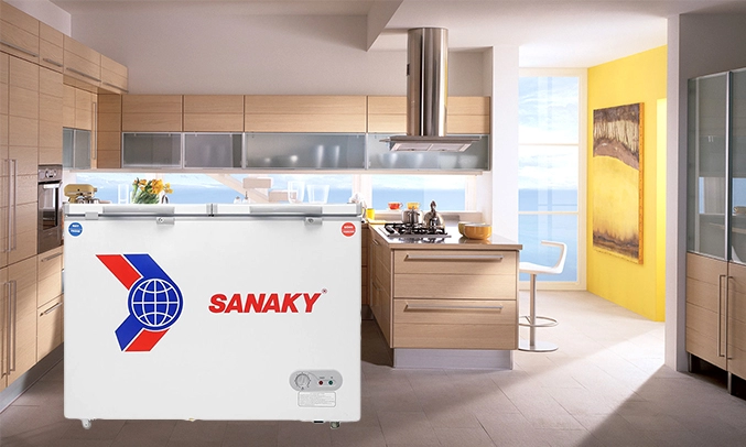 Tủ Đông Sanaky 285 lít VH-285W2 