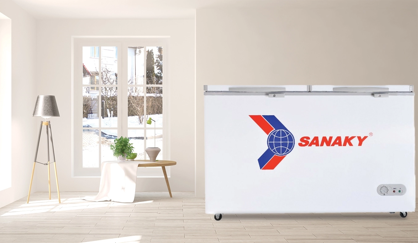 Tủ đông Sanaky 195 lít VH-255W2
