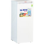 Tủ đông đứng Sanaky Inverter 118 lít VH-160VD3