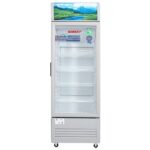 Tủ mát Sanaky Inverter 240L VH-308W3L